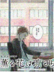 韩国主播舞蹈合集